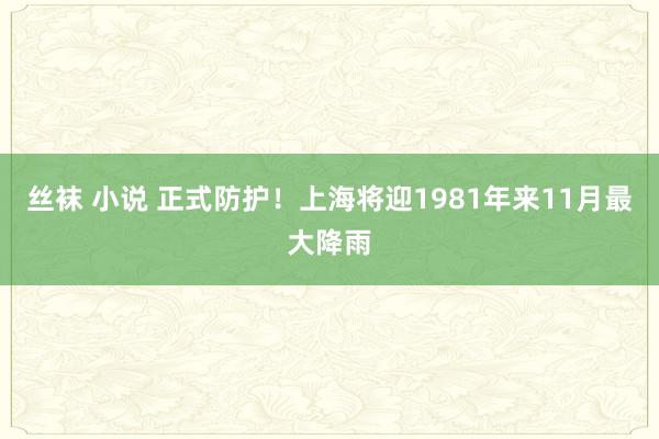 丝袜 小说 正式防护！上海将迎1981年来11月最大降雨