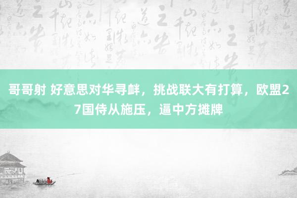 哥哥射 好意思对华寻衅，挑战联大有打算，欧盟27国侍从施压，逼中方摊牌