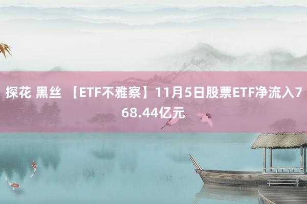 探花 黑丝 【ETF不雅察】11月5日股票ETF净流入768.44亿元