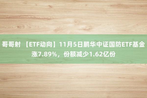 哥哥射 【ETF动向】11月5日鹏华中证国防ETF基金涨7.89%，份额减少1.62亿份