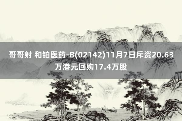 哥哥射 和铂医药-B(02142)11月7日斥资20.63万港元回购17.4万股