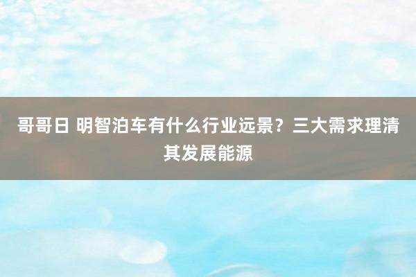 哥哥日 明智泊车有什么行业远景？三大需求理清其发展能源