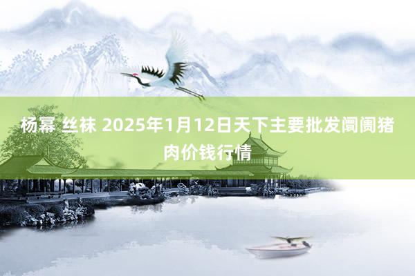 杨幂 丝袜 2025年1月12日天下主要批发阛阓猪肉价钱行情