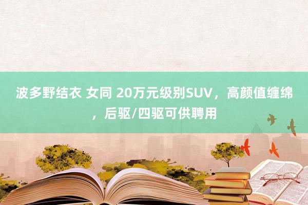 波多野结衣 女同 20万元级别SUV，高颜值缠绵，后驱/四驱可供聘用