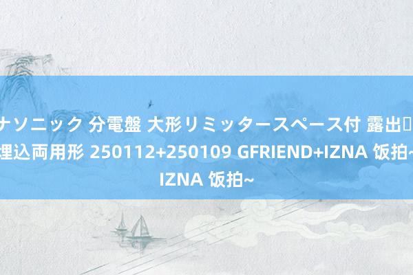 パナソニック 分電盤 大形リミッタースペース付 露出・半埋込両用形 250112+250109 GFRIEND+IZNA 饭拍~