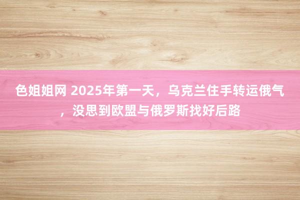 色姐姐网 2025年第一天，乌克兰住手转运俄气，没思到欧盟与俄罗斯找好后路